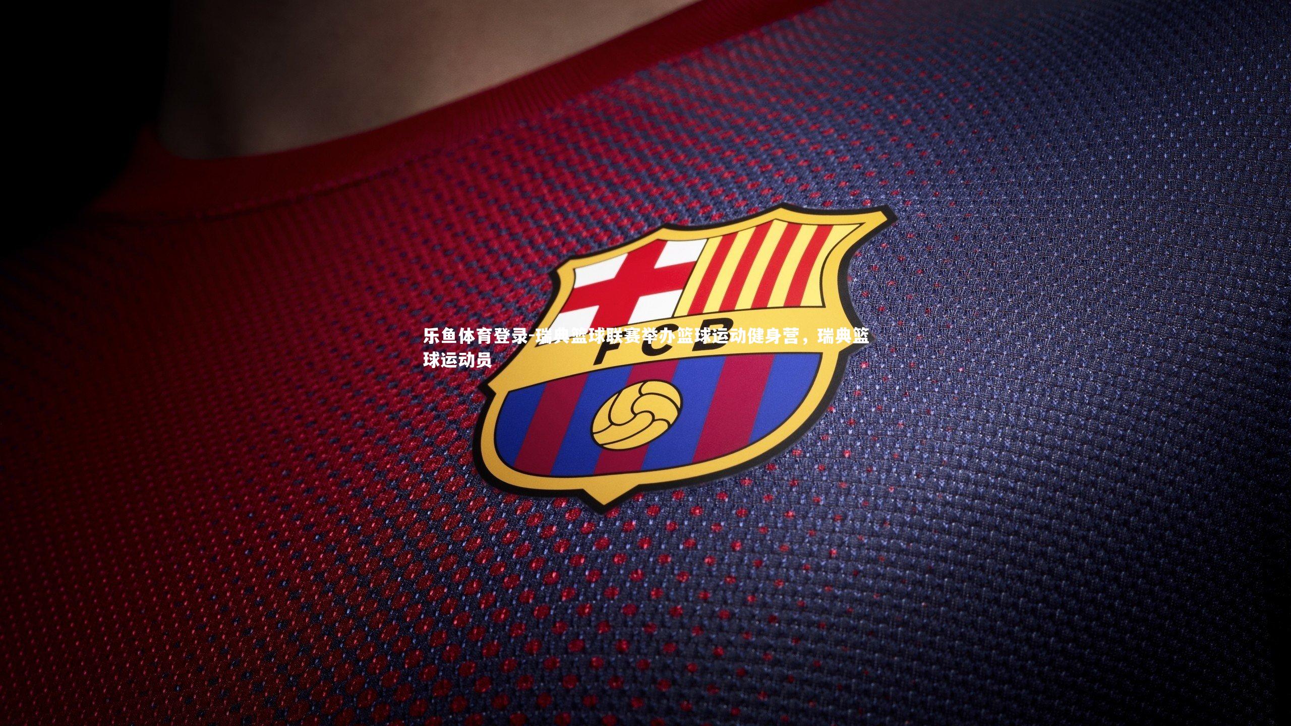 瑞典篮球联赛举办篮球运动健身营,瑞典篮球运动员