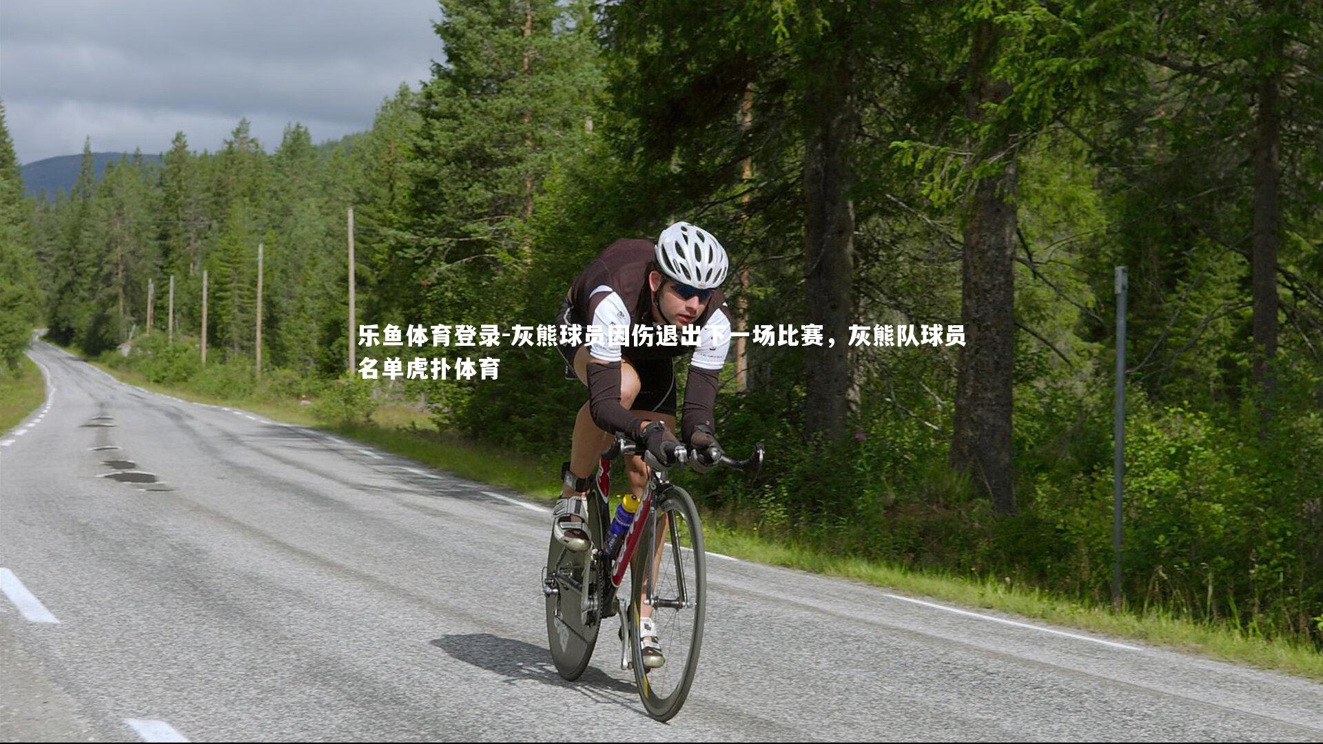 乐鱼体育登录-灰熊球员因伤退出下一场比赛，灰熊队球员名单虎扑体育