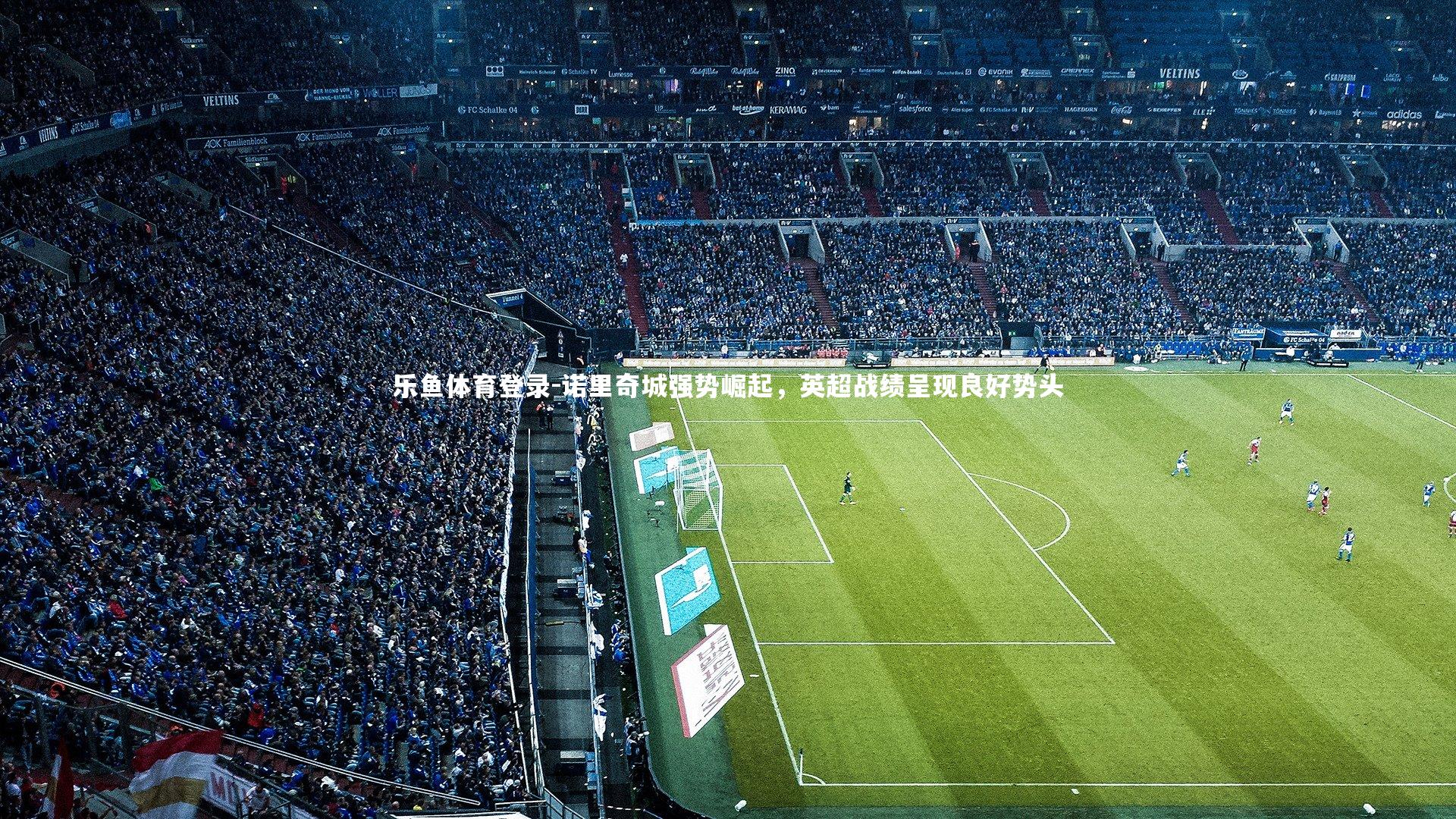 诺里奇城强势崛起，英超战绩呈现良好势头