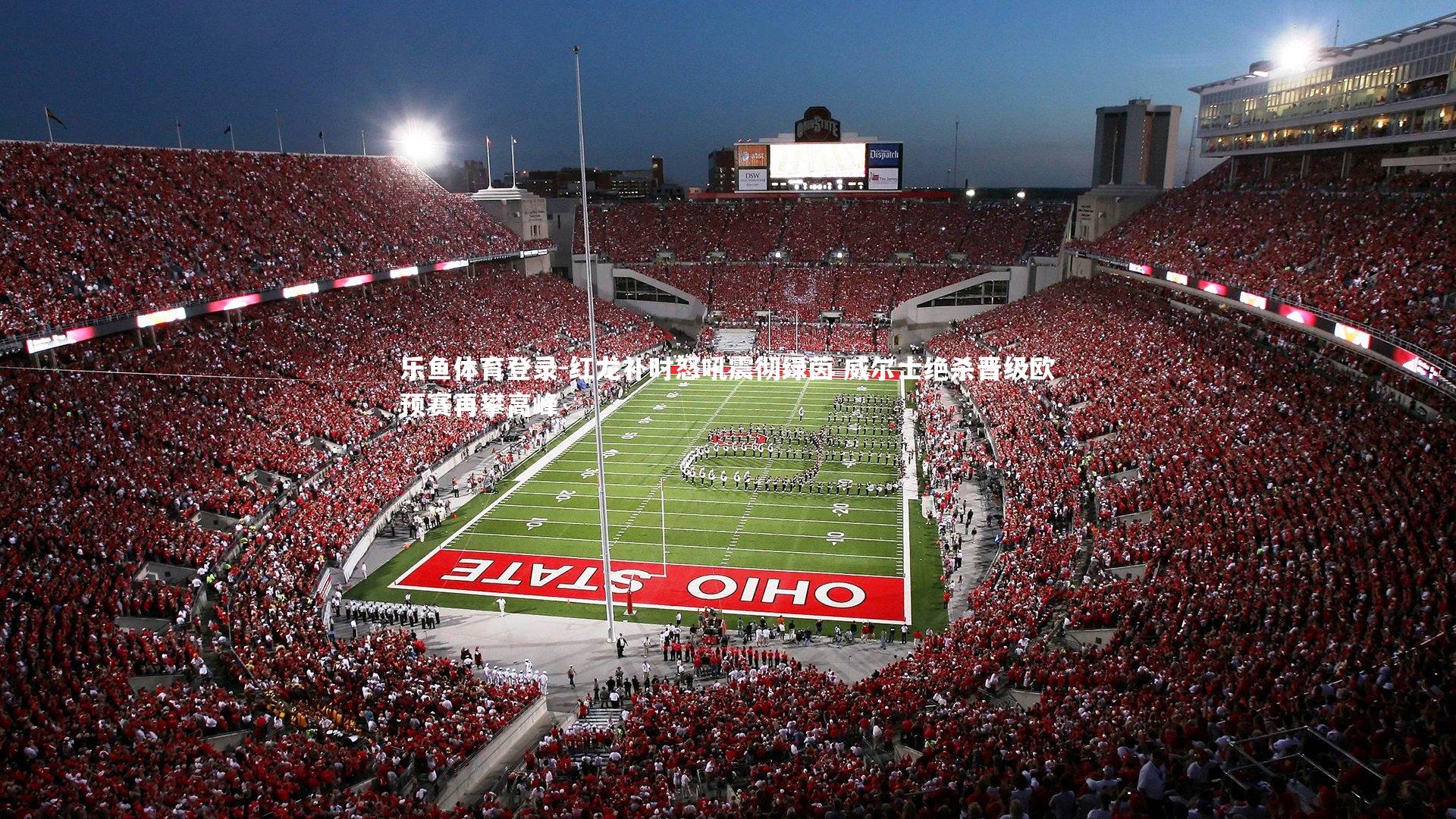 乐鱼体育登录-红龙补时怒吼震彻绿茵 威尔士绝杀晋级欧预赛再攀高峰