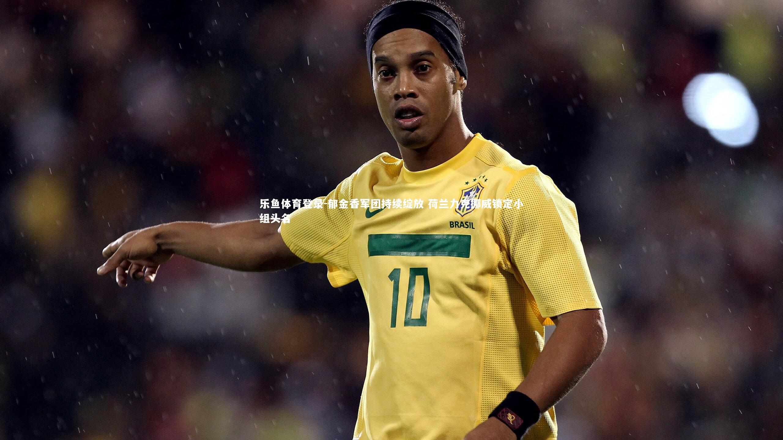 乐鱼体育登录-郁金香军团持续绽放 荷兰力克挪威锁定小组头名